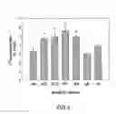 Fig. 04 - Monoclonal antibody against ABCA1