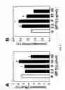 Fig. 12 - Monoclonal antibody against ABCA1
