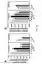 Fig. 13 - Monoclonal antibody against ABCA1