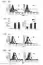 Fig. 08 - Method for Treating Immune Dysfunction by Regulation of CD40 Ligand Expression