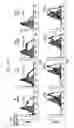 Fig. 10 - Method for Treating Immune Dysfunction by Regulation of CD40 Ligand Expression