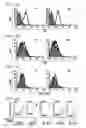 Fig. 12 - Method for Treating Immune Dysfunction by Regulation of CD40 Ligand Expression