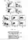 Fig. 20 - Method for Treating Immune Dysfunction by Regulation of CD40 Ligand Expression