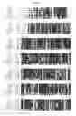 Fig. 09 - BGS 4