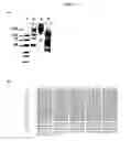 Fig. 20 - BGS 4