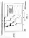 Fig. 05 - Combination Therapy