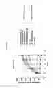 Fig. 10 - Interleukin-10 antibodies