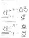 Fig. 02 - Methods of treating cancer comprising administering an interleukin-6 antibody variable region