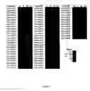 Fig. 05 - proteome compositions and methods