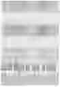 Fig. 37 - proteome compositions and methods