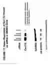 Fig. 13 - Ovr110 antibody compositions and methods of use