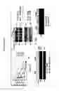 Fig. 02 - Methods of identifying combinations of antibodies with an improved anti-tumor activity and compositions and methods using the antibodies