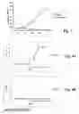 Fig. 03 - CD19-specific immunotoxin and treatment method