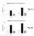 Fig. 05 - CD19-specific immunotoxin and treatment method