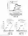 Fig. 02 - Superantigen conjugate