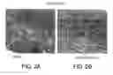 Fig. 04 - Superantigen conjugate