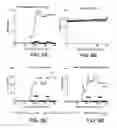 Fig. 08 - Superantigen conjugate