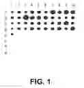 Fig. 02 - Group B streptococcus polypeptides nucleic acids and therapeutic compositions and vaccines thereof
