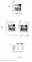 Fig. 08 - Fusion proteins comprising modified allergens of the ns-ltps family, use thereof and pharmaceutical compositions comprising the same