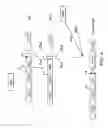 Fig. 05 - Preparations of growth hormone