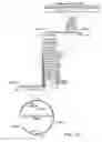 Fig. 15 - Preparations of growth hormone