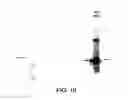 Fig. 25 - Preparations of growth hormone