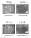 Fig. 06 - PROCESSES FOR MAKING PARTICLE-BASED PHARMACEUTICAL FORMULATIONS FOR PARENTERAL ADMINISTRATION