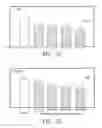 Fig. 07 - Process for producing a therapeutically effective amount of an extract from pomegranate and compositions relating to same