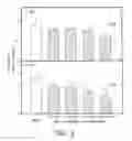 Fig. 08 - Process for producing a therapeutically effective amount of an extract from pomegranate and compositions relating to same