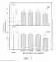 Fig. 09 - Process for producing a therapeutically effective amount of an extract from pomegranate and compositions relating to same