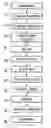 Fig. 01 - Method for making a cold formed segmented food product