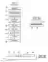 Fig. 02 - Method for making a cold formed segmented food product