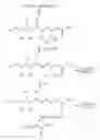 Fig. 01 - Method for Reducing Acrylamide Formation