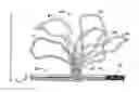 Fig. 01 - Embossing loop materials