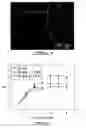 Fig. 05 - Polyphosphate ceramic and method of making same