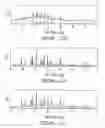 Fig. 09 - Polyphosphate ceramic and method of making same