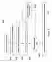 Fig. 03 - Method for manufacturing attenuated phase-shift masks and devices obtained therefrom