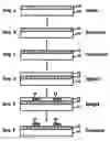 Fig. 01 - METHODS OF PREVENTING DEFECTS IN ANTIREFLECTIVE COATINGS