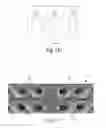 Fig. 10 - ORTHODONTIC BRACKET