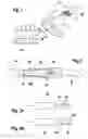 Fig. 02 - Manual dental instrument, dental care unit and method for displaying data using a manual dental instrument