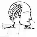 Fig. 01 - Method for prognostication the behavior of a man and/or type of his/her activity and also for identification of his/her personality