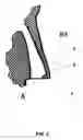 Fig. 04 - Method for prognostication the behavior of a man and/or type of his/her activity and also for identification of his/her personality