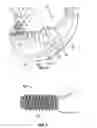 Fig. 05 - Dental patient models