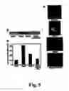 Fig. 06 - Methods of diagnosing atherosclerosis by measuring ApoCI