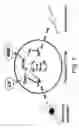 Fig. 11 - Control of es cell self renewal and lineage specification, and medium therefor
