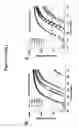Fig. 06 - Methods for the detection of nucleic acid differences