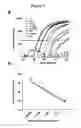 Fig. 07 - Methods for the detection of nucleic acid differences
