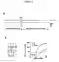 Fig. 08 - Methods for the detection of nucleic acid differences