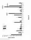 Fig. 13 - Methods for the detection of nucleic acid differences