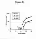 Fig. 18 - Methods for the detection of nucleic acid differences